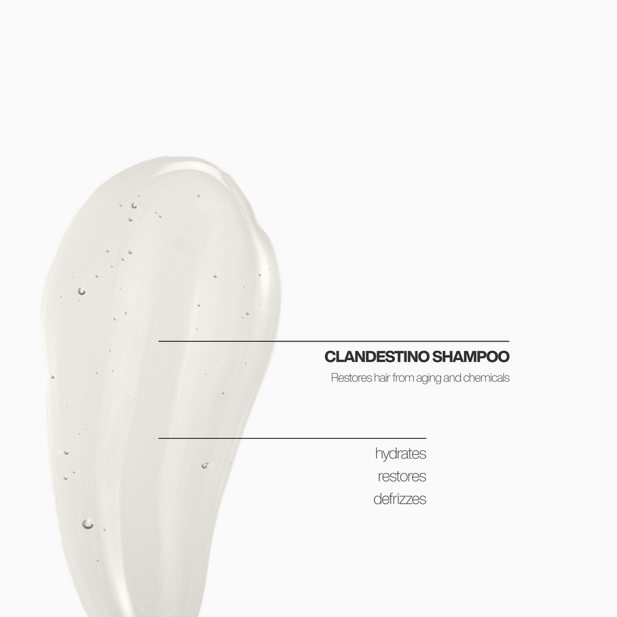 CHAMPÚ TRATAMIENTO CLANDESTINO PROFESIONAL 650ML